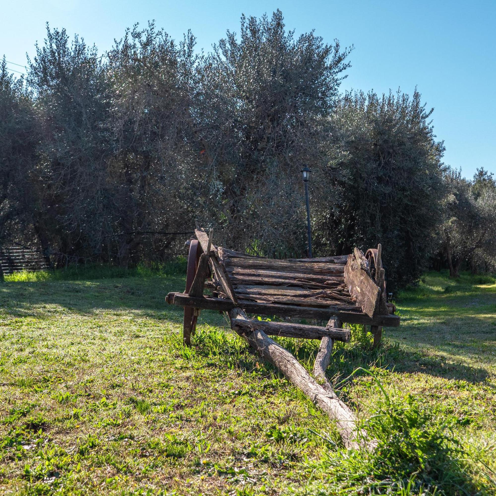 קאסטלמוזיו Agriturismo Pascianella Appartamento Bel Tramonto מראה חיצוני תמונה